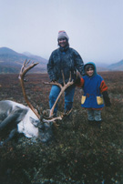 Caribou - Big Game Hunting 